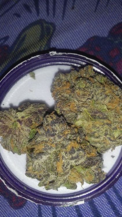 kushhunter111's tweet photo. Yes sir @HIGH_TIMES_Mag @SnoopDogg https://t.co/WoQgRj9Vt6