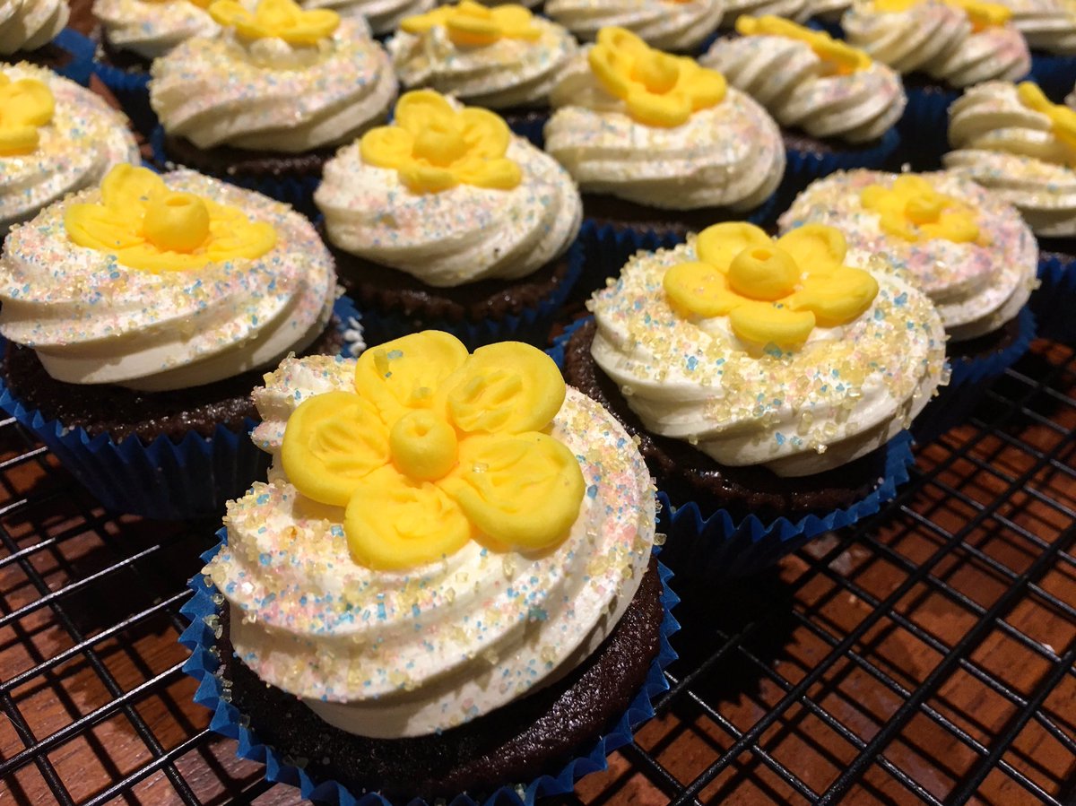 naomityrrell18's tweet photo. 🌼 Daffodil cupcakes 🌼 Ready for Australia’s Biggest Morning Tea tomorrow! #BiggestMorningTea is a great way to have fun, have a cuppa, eat your weight in sweets and more importantly, donate to a great cause 💕 #CancerCouncil https://t.co/XjkjrHlGBP
