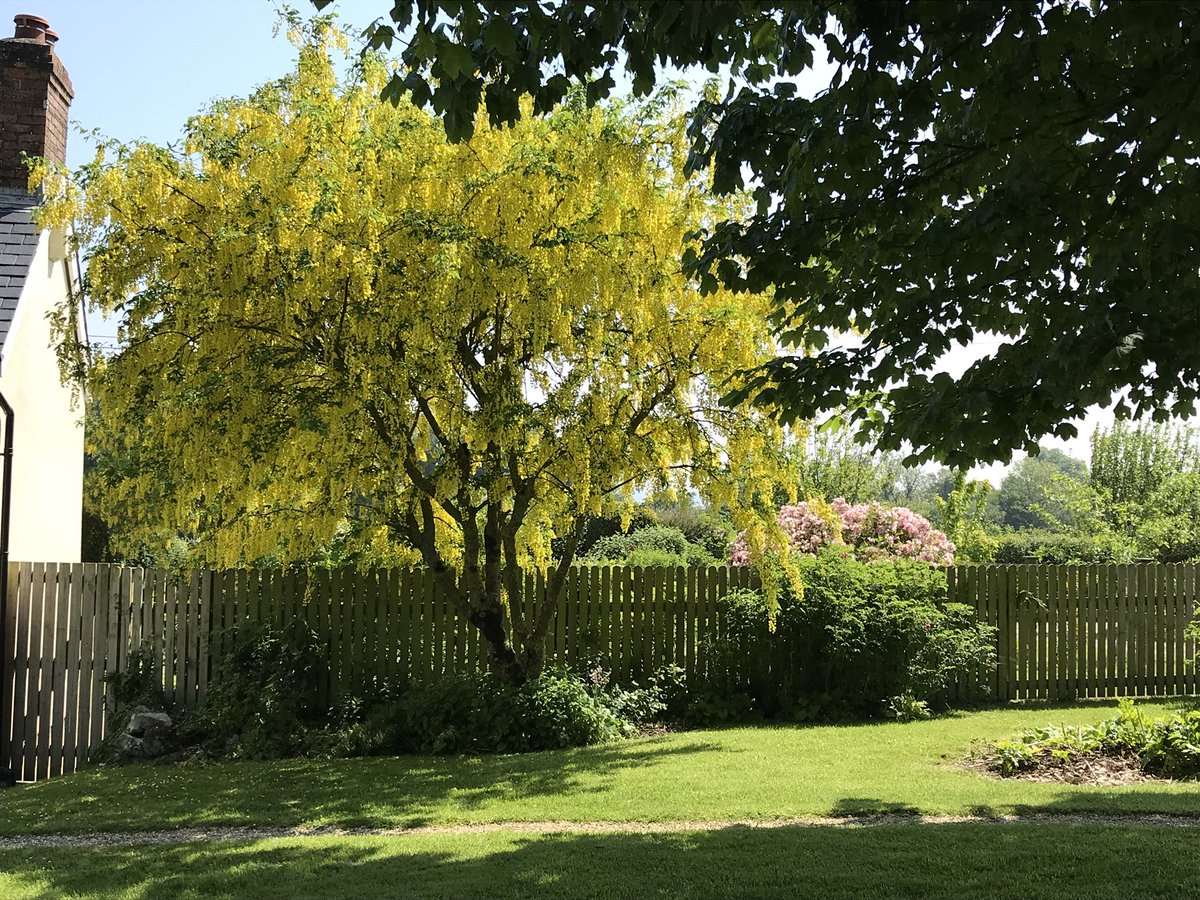 PoleRueFarm's tweet photo. Last minute offer: 7 Nights in #Somerset £395 https://t.co/gONvc6TF9d #LastMinute @IndepenCottages https://t.co/xSbZwBiUc4