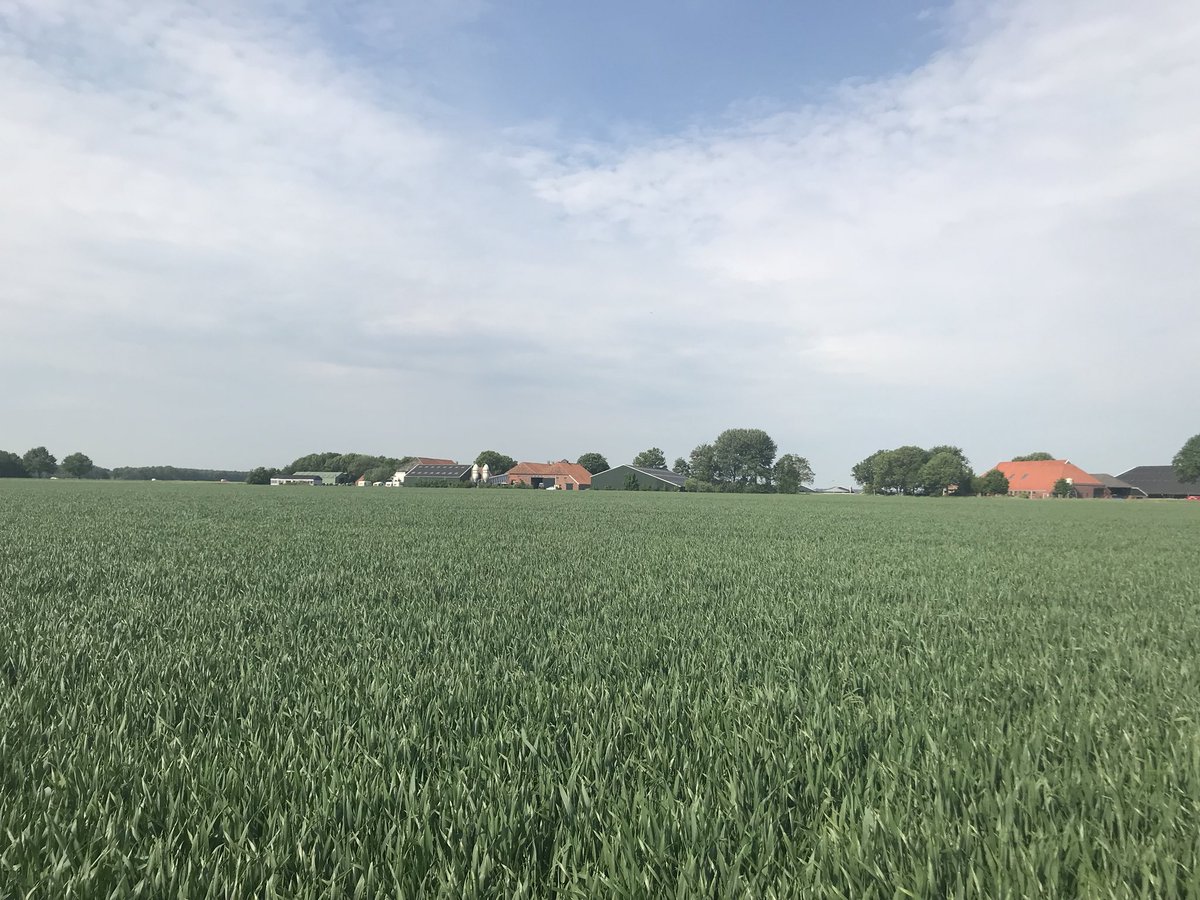 IrenevanHooff's tweet photo. Vandaag worden er door @grauwekiek #gele #kwikstaarten gezenderd (superklein zendertje zie foto) om inzicht te krijgen in gedrag van deze #akkervogels zodat we beter kunnen begrijpen welke beheersmaatregelen zinvol zijn om terugloop #vogels te keren https://t.co/eirOcJu8lv