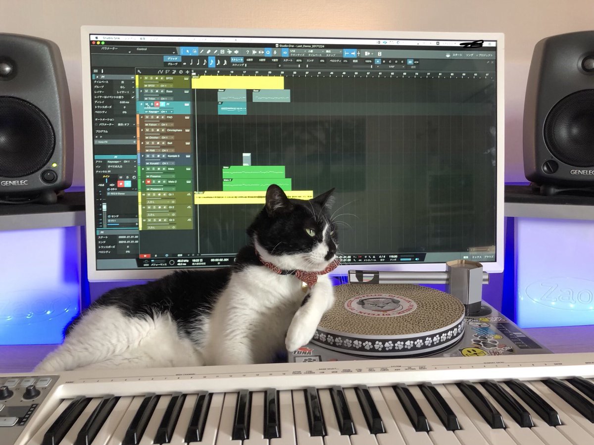 響介 猫用のdjターンテーブル爪研ぎ買ってあげたんだけど なんか思い描いてた使い方と全然違う T Co Rp2dvzk2tn