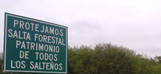 diegoaferreyra's tweet photo. #SaltaForestal: Mil millones perdidos y crítica unánime al perdón https://t.co/vhcZ0VjylN @nnatnieto @elacopleinfo #Salta https://t.co/B1MzcW6TtV