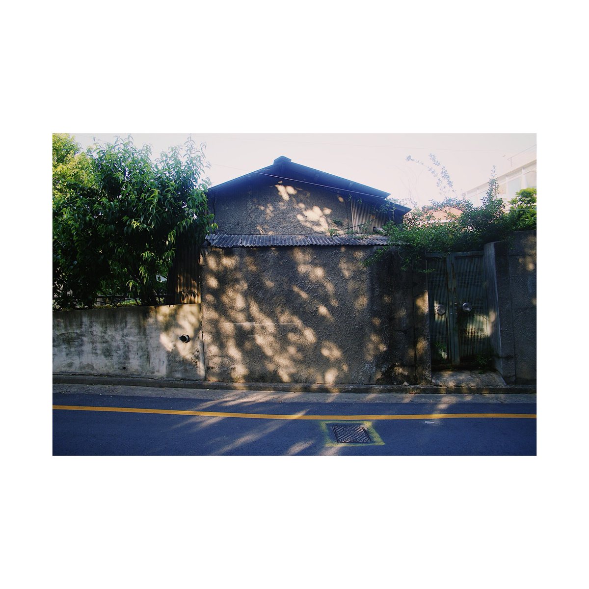 herennow01's tweet photo. 180523 afternoon #afteroon #vsco #street #photography #art https://t.co/qlCF4OIt8s