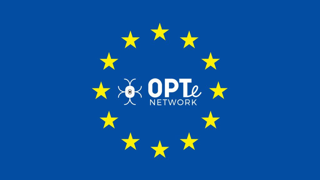 OPTe_AI's tweet image. New Privacy Features and Updated Policies blog.opte.network/new-privacy-fe…