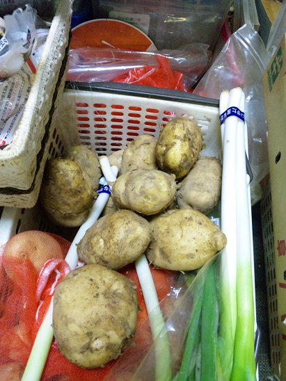 Ritidon またしても朝に青いジャガイモに二つ掏り替えられていた 水道のオジンが どうにもならん状態 ジャガイモ は記録を撮っている 写真は青丸一個が青いジャガイモと記憶しながら摂った この記録を無視するとは Ritidon またしても朝に青いジャガイモに二つ掏り替えられていた 水道のオジンが どうにもならん状態 ジャガイモ は記録を撮っている 写真は青丸一個が青いジャガイモと記憶しながら摂った この記録を無視するとは