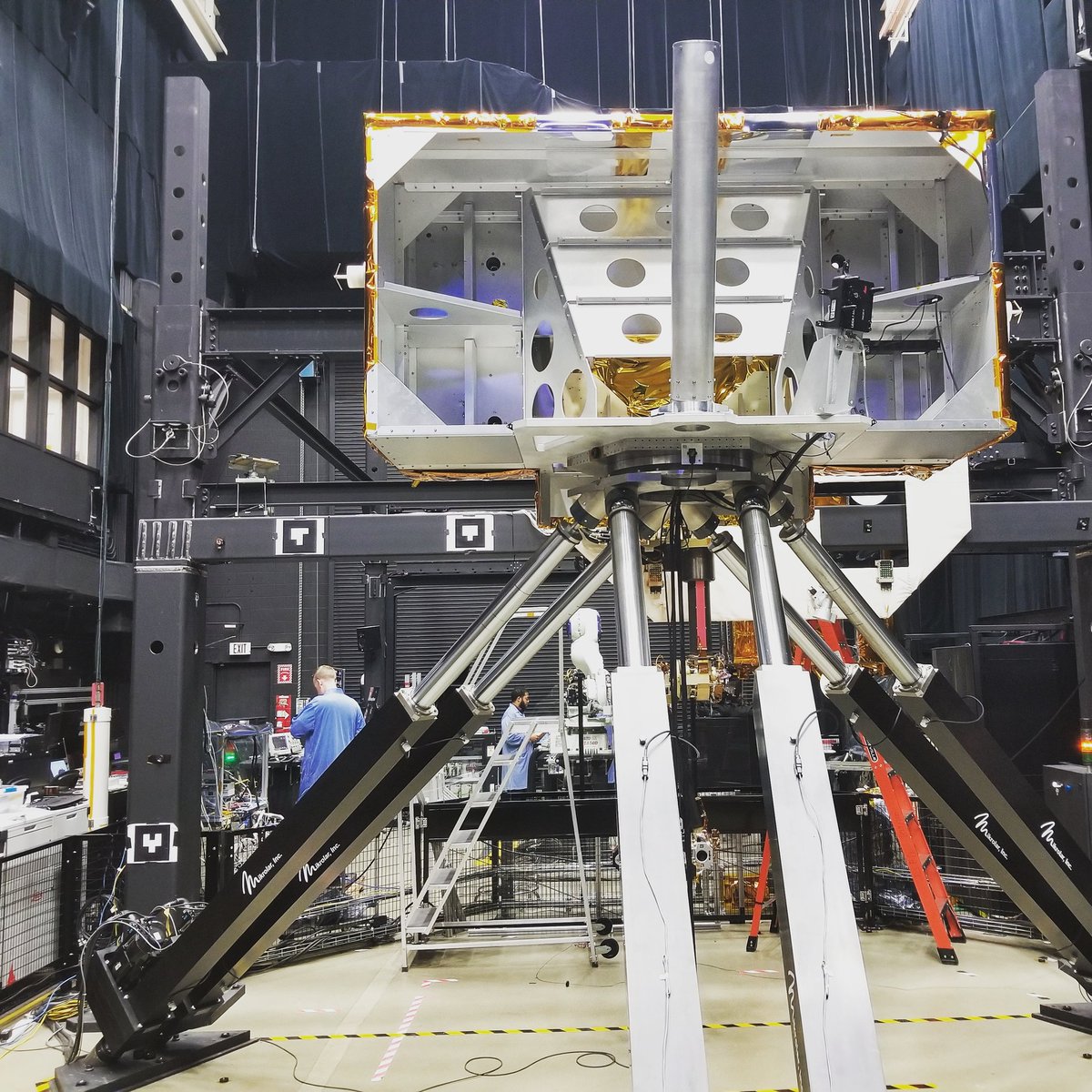 Nina Bianchi tweet media