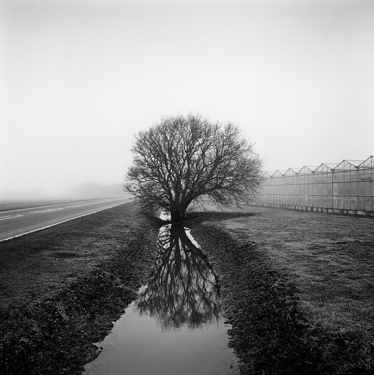 Delighted to have 6 pictures from FARMED shortlisted for <a href="/The_RPS/">The Royal Photographic Society</a> #IPE18 

‘Lyn Way’ 16x20” #silvergelatin print

<a href="/ILFORDPhoto/">ILFORD PHOTO</a> <a href="/DewiLewis/">Dewi Lewis</a> <a href="/TPGallery/">The Photographers' Gallery</a> <a href="/BWPMag/">B+W Photography</a> 
@shutter_hub <a href="/BelieveInFilm/">#BelieveInFilm Community</a>