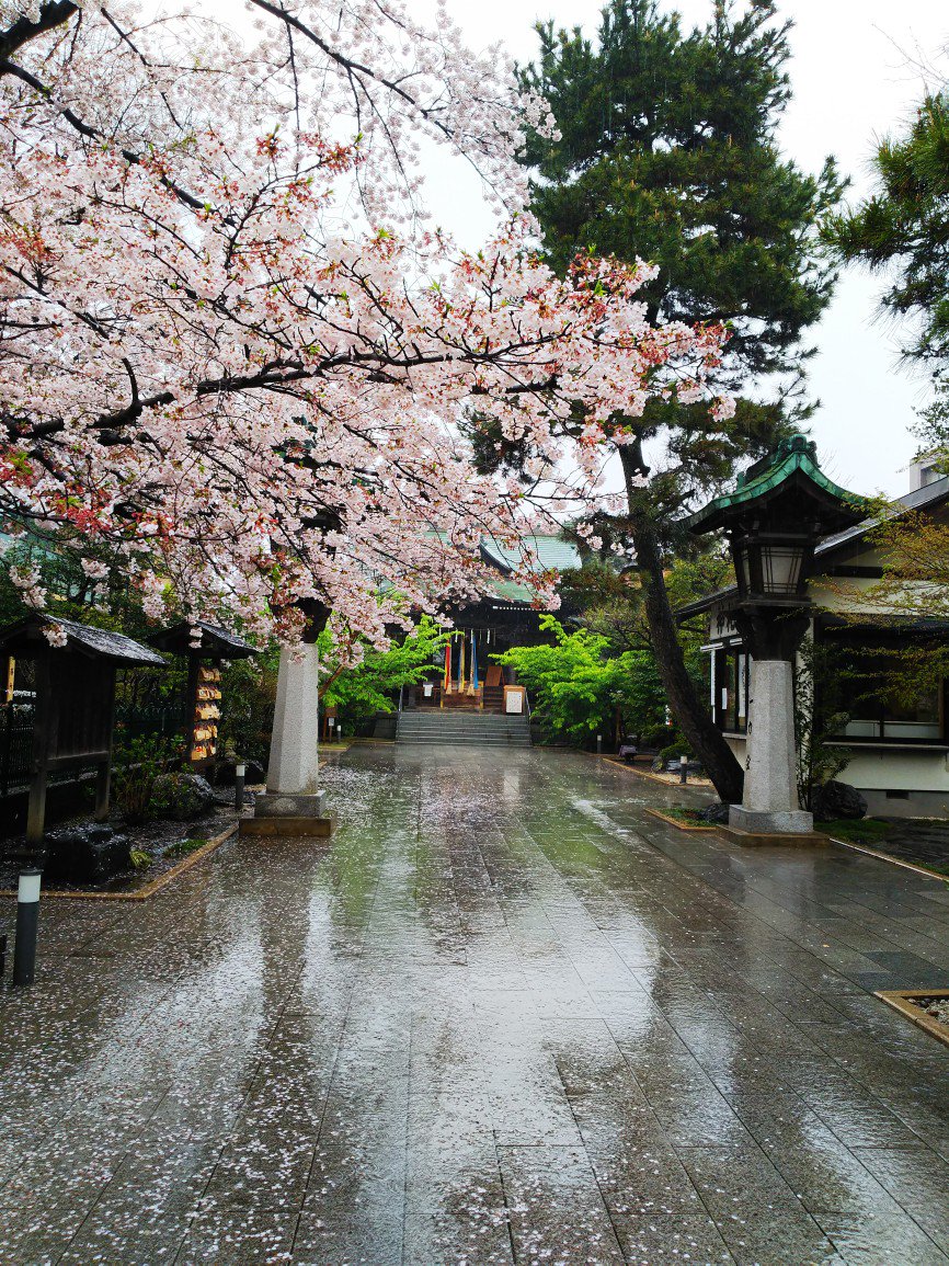 雨の風景が好きな人に贈る #これを見た人は雨の画像を貼れ タグの美しい雨いろいろ (2ページ目) - Togetter [トゥギャッター]