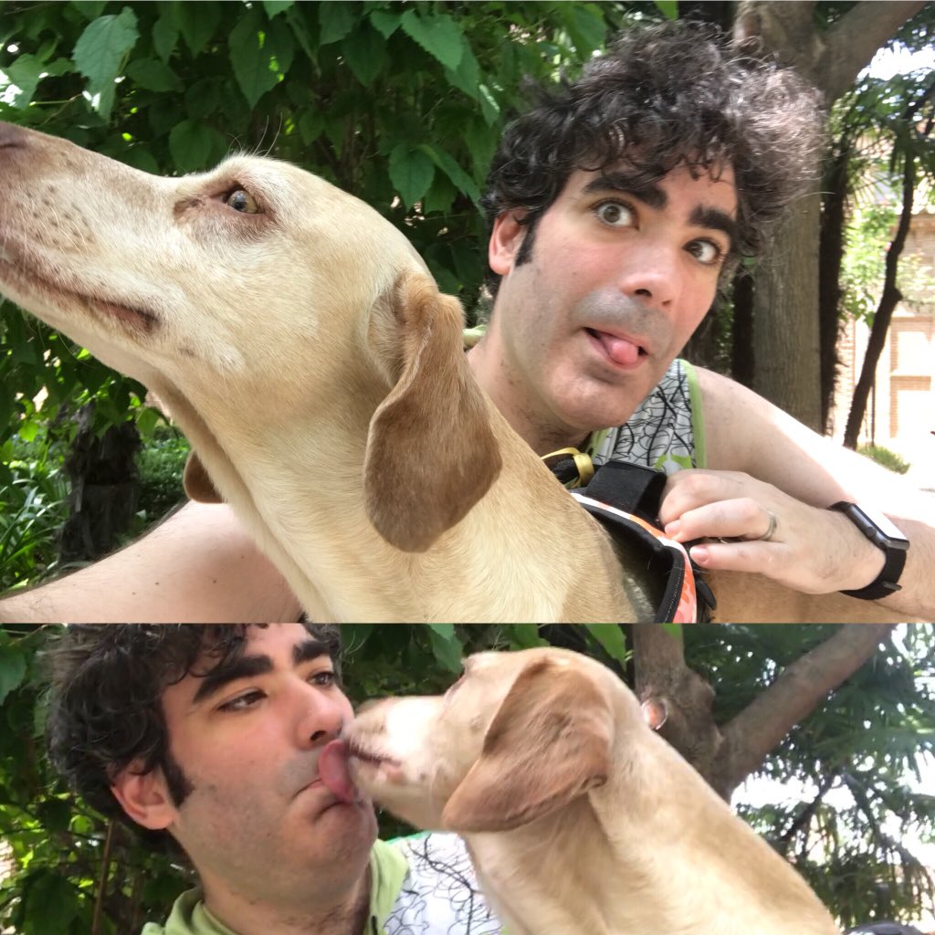 jmjarabo's tweet photo. #selfie #problems with my #littleone #problemas #peque #baby #cute #dog #dachshund #teckel #mixedbread #longback #espaldalarga #doggy #walk #love #cariño #enjoy #life #enjoyinglife with #mydog https://t.co/AVQzKFOXwp