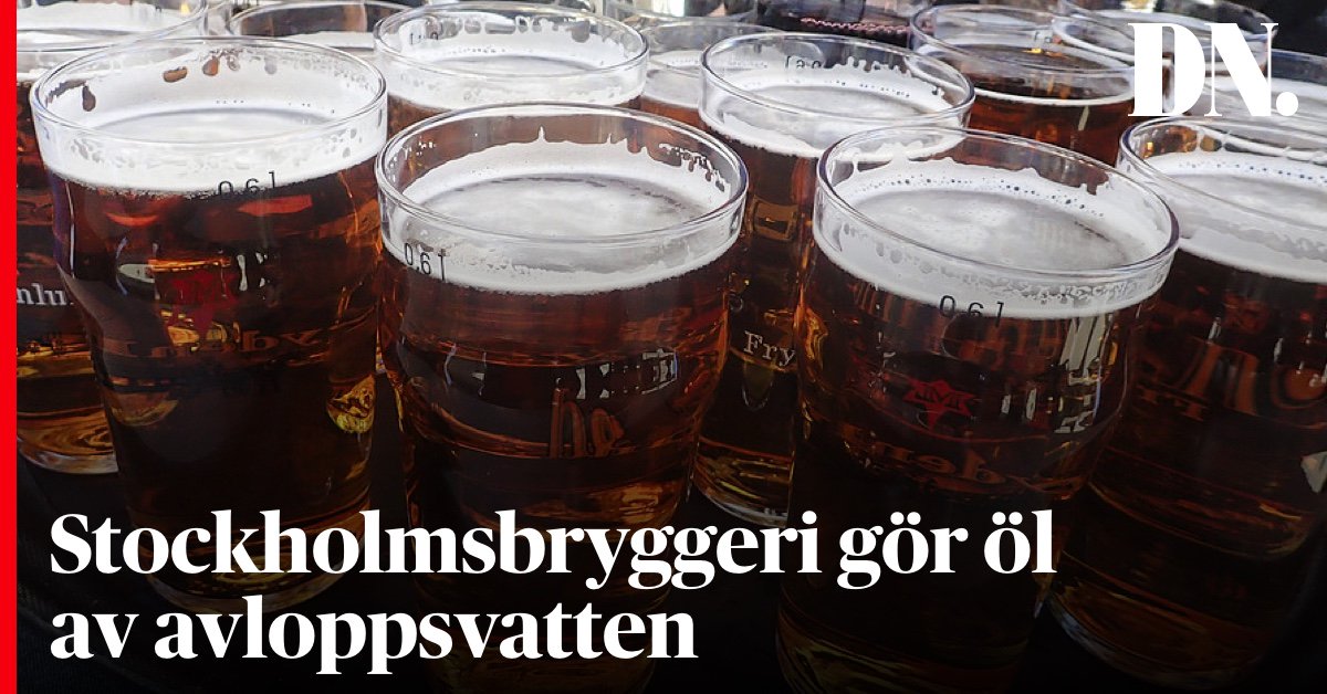 dagensnyheter's tweet photo. Stockholmsbryggeri gör avloppsvatten till öl — Syftet är att ”bryta ner det emotionella motståndet” mot att dricka vatten från avloppet.
https://t.co/oDnr6G3zMg https://t.co/llCEF8hsOx