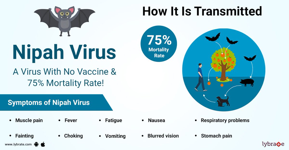 Spread awareness about #Nipahvirus

Click here to know more: bit.ly/2kh9wzn

SHARE widely and TAG your family/friends here. 
#StayHealthy