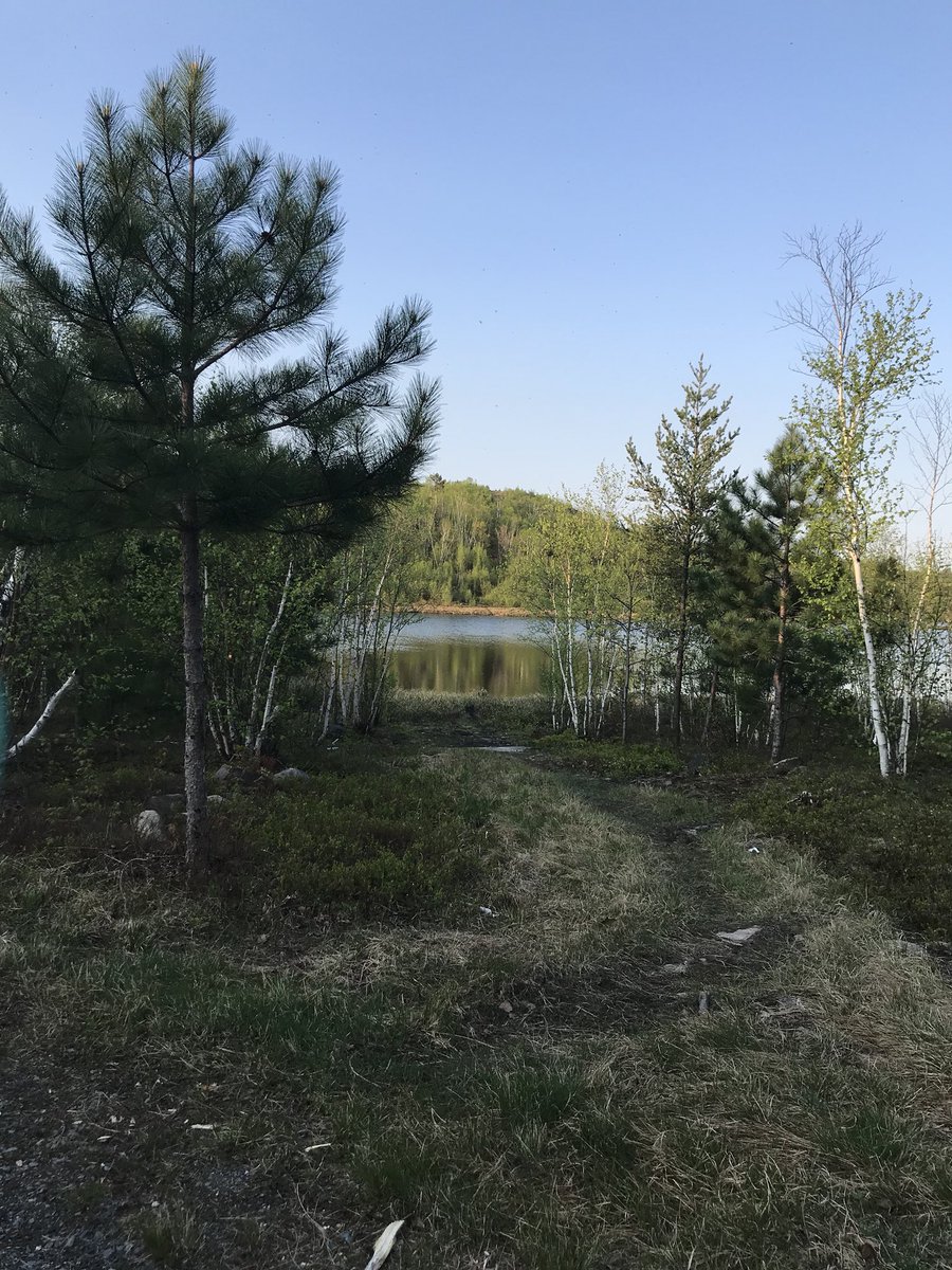 SugarSuiteDev's tweet photo. Morning hike was a great idea!@OHEIT2018 🏃‍♀️ https://t.co/GG3HOyVamm
