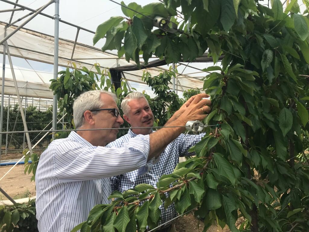 NLAmbPlomp's tweet photo. Great to see 🇳🇱investment #DojranaFreshProduce bringing machines, knowledge, commitment to produce 🇲🇰 veggies&amp;fruit #Dojran #horticulture https://t.co/SVSZy9nUZ4