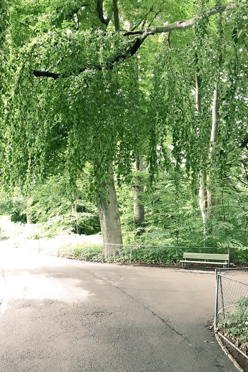 SwissTravels's tweet photo. Take a Walk in the 💙 of Zurich and Visit it‘s Evergreen Muraltengut Park following the Beautiful Lake Promenade in the City District 2, called Enge 🌳🌱🌞🇨🇭. https://t.co/ge8TT8grTa