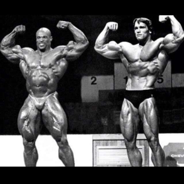 Gym & Fitness World tweet media