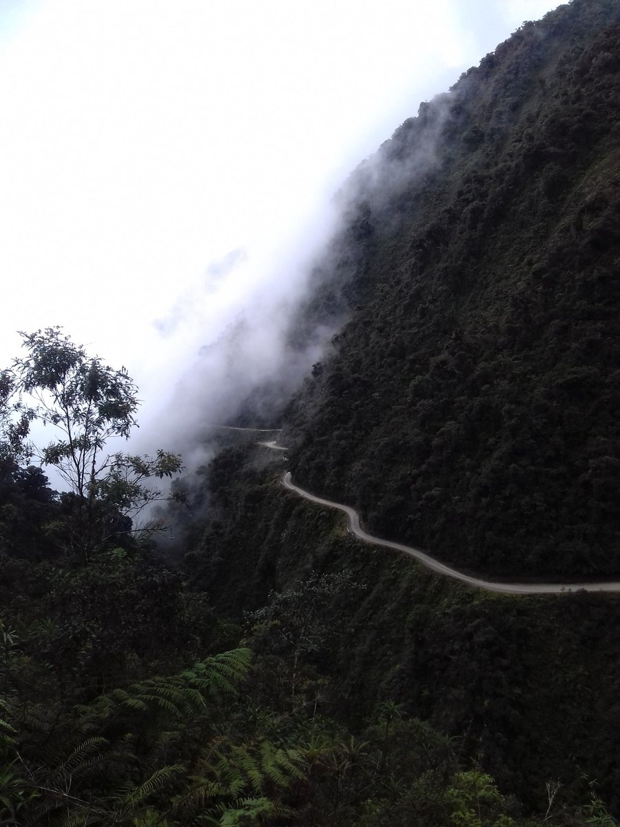 Fuma2flores's tweet photo. Nuestro día libre de la semana y lo pasamos andando en bici durante 35km acá. #deadroad https://t.co/4Ra9BXfZyj