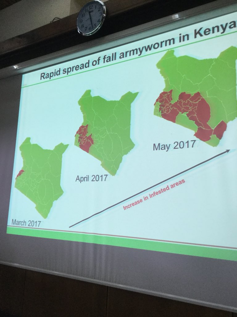Hon_Kiunjuri's tweet photo. Kenya's food security is largely threatened by the invasive Fall Army Worm, a pest that has spread to almost all the Sub-saharan countries causing severe damage especially in maize fields and to more than 80 plant species.
#fightFAW https://t.co/bjQbrjr6NV