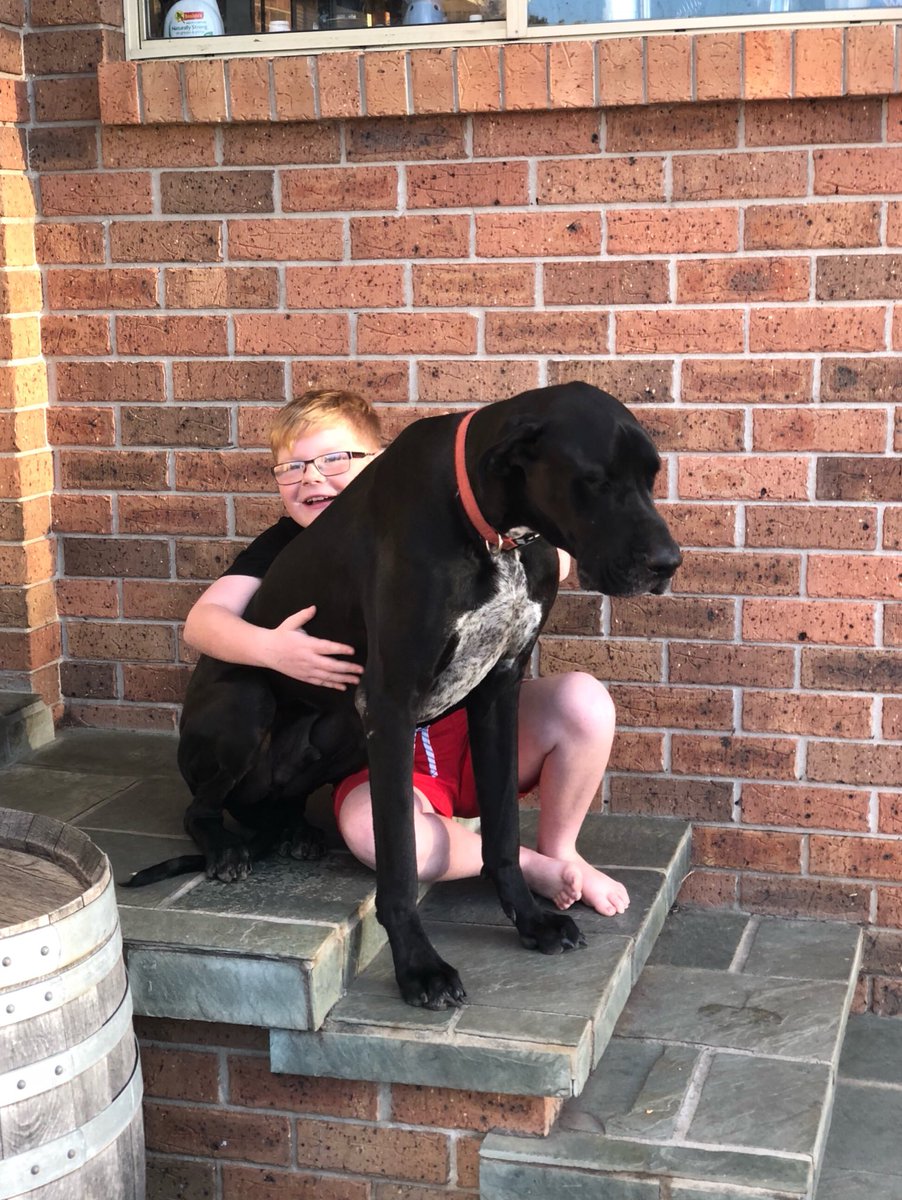 cilmaloney's tweet image. 23. pet #FMS_pet #fmspad #littlemomentsapp