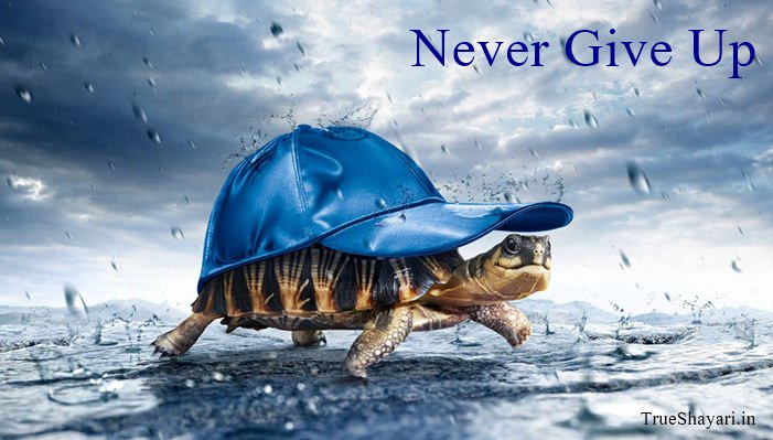 RttCraig's tweet photo. NEVER GIVE UP! 
#BeBraveEnough #PositiveThoughts #Strive #Grow https://t.co/sSwKbvHch6