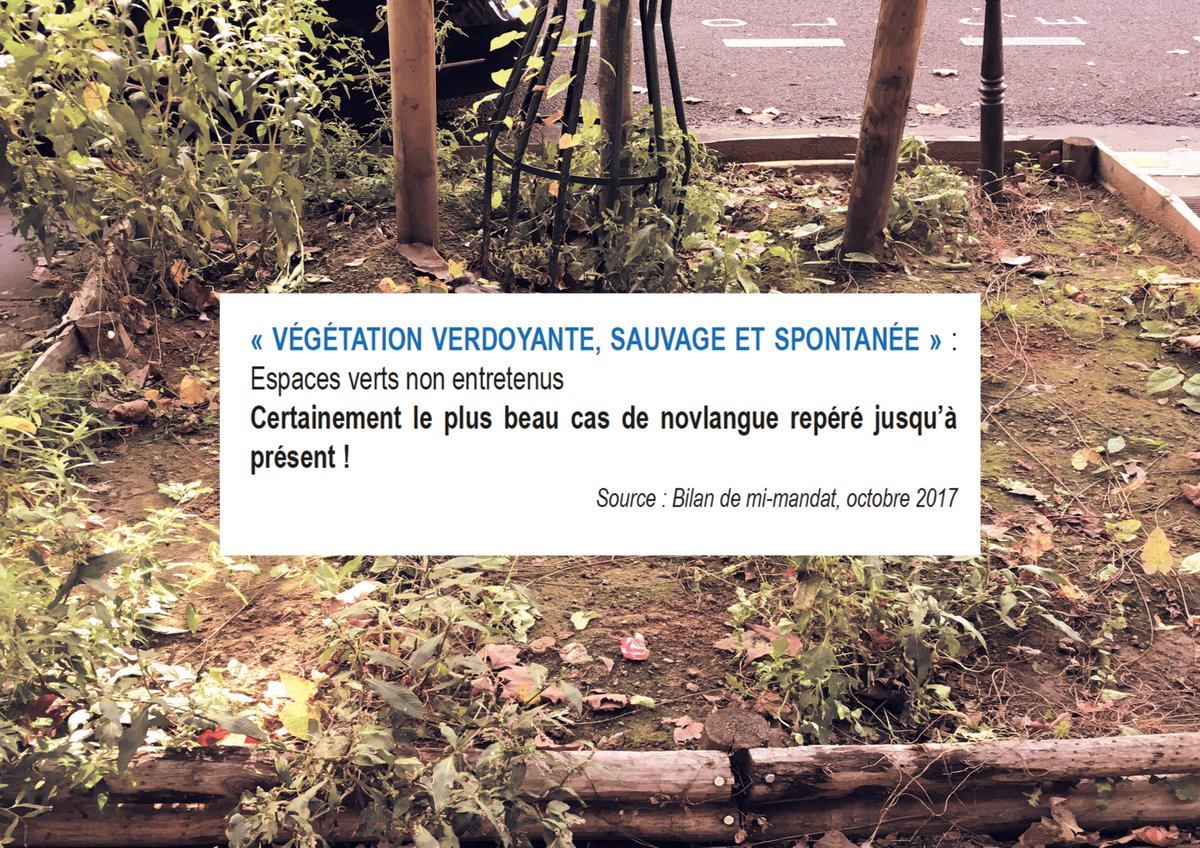Paris_Liberte's tweet photo. #DicoNovlangue Aujourd'hui découvre une nouvelle expression de novlangue de la Maire de Paris : "végétation verdoyante, sauvage et spontanée" pour éviter de dire espaces verts non entretenus #litterature #MolièreAuSecours https://t.co/ujlh1i22ez
