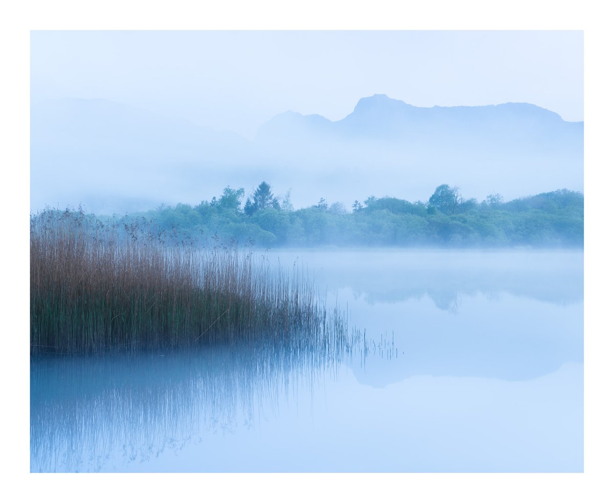 Fotospeed's tweet photo. It's time for this week's #fsprintmonday top 4! Big congrats to @bdraguiskyphoto,  @ilovefridaysme,  @dave__Ball, and @laura_hacking! https://t.co/9gDe8tvDcM