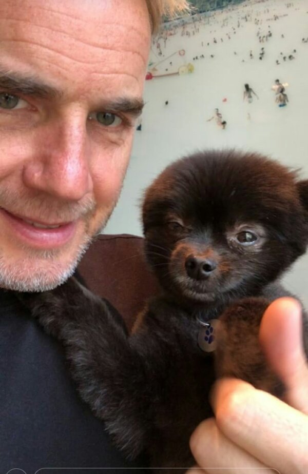 Garyismyhero's tweet photo. #Instagram(-story) 😊 #Hugo #cuddeling #love ❤ #Cookie
@GaryBarlow https://t.co/BnOJ9tfMJS