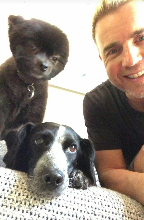 Garyismyhero's tweet photo. #Instagram(-story) 😊 #Hugo #cuddeling #love ❤ #Cookie
@GaryBarlow https://t.co/BnOJ9tfMJS