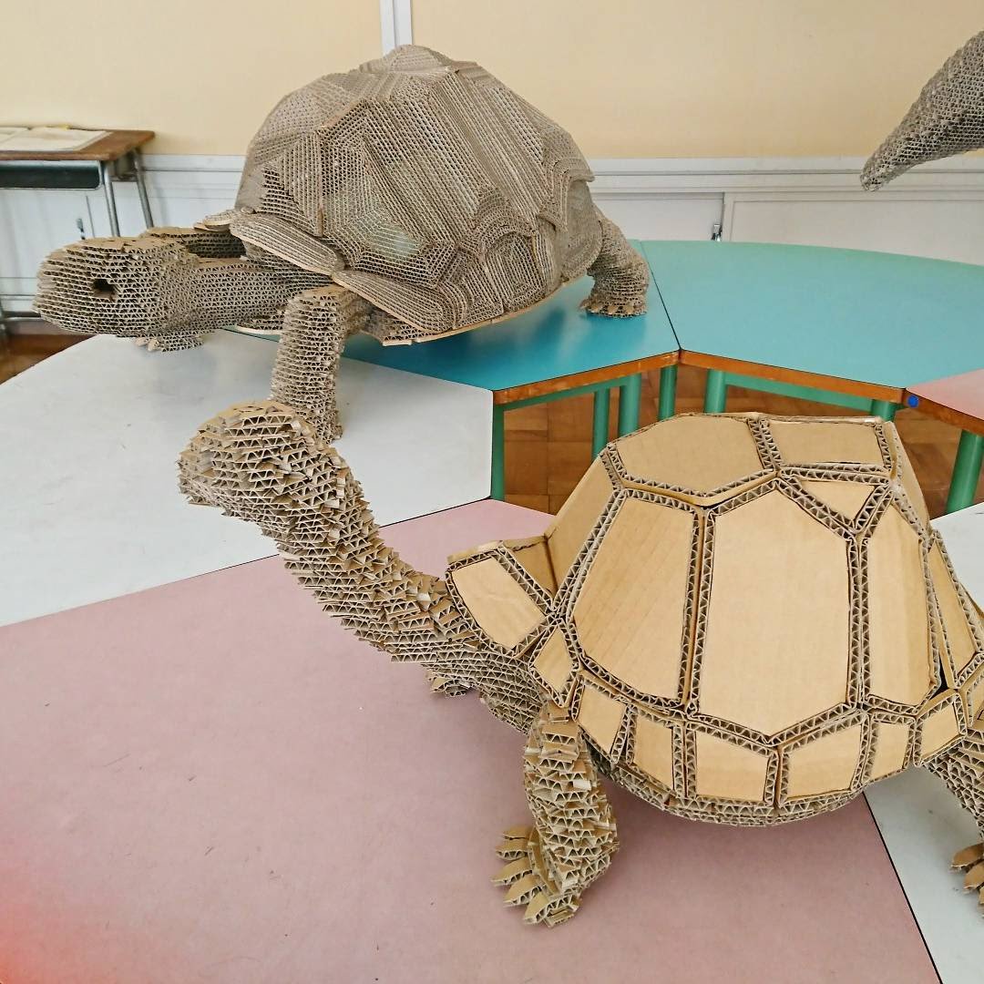 今日は亀の日🗓️🐢 それでは迫力満点＆めっちゃかわいいダンボール
