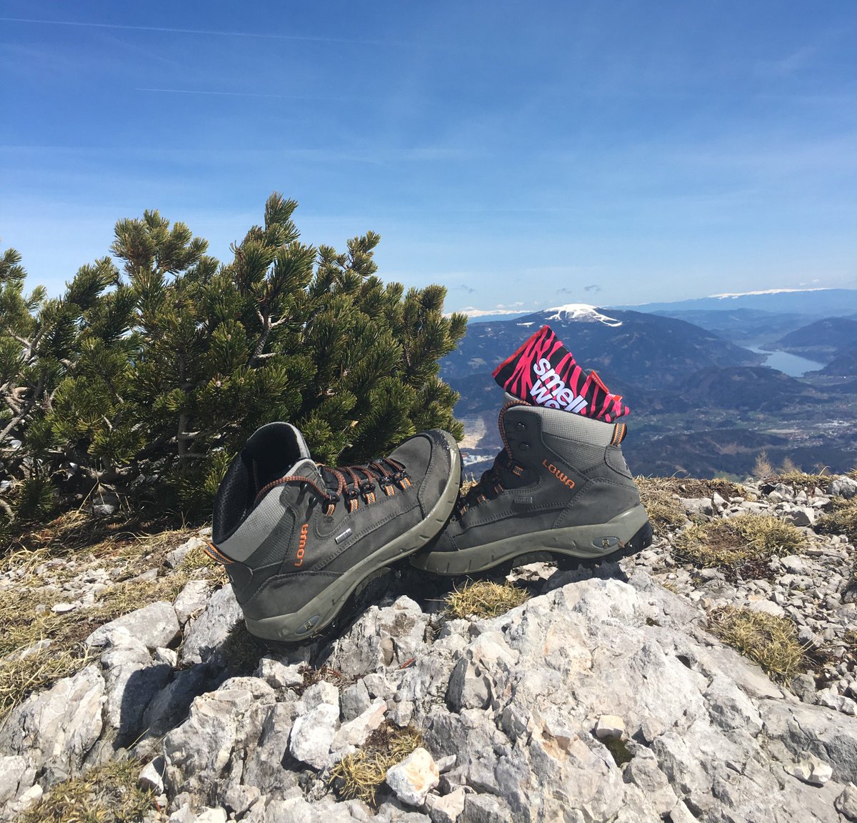 Hey #bibrave runners, is it time to top up your #SmellWell? Up to 15% off on Amazon today!

amzn.to/2J2sxU9