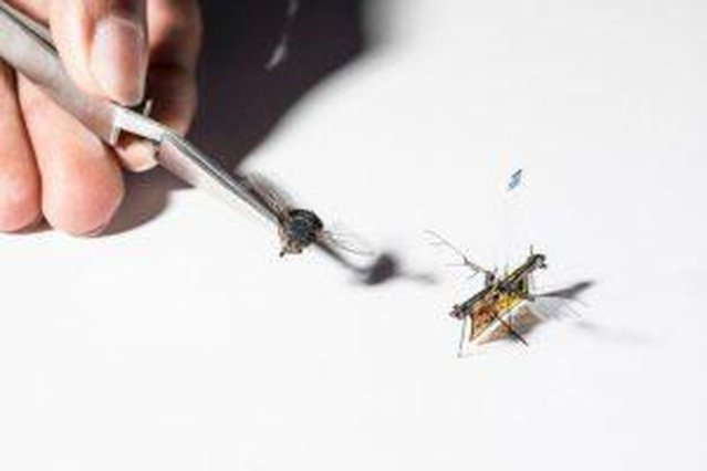 CMHFritz's tweet image. #RoboFly @UW autode.sk/2IYwGIF