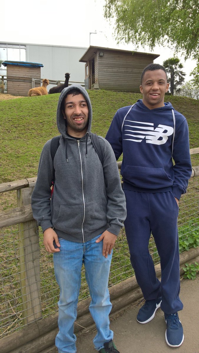 InternsSouth1's tweet photo. The interns took a trip to @HornimanMuseum to learn about working on a heritage site (with a visit to the alpacas included!) #mencapemployme #dayout #inclusion @mencap_charity @MencapEmployMe https://t.co/I3S3RCg3t9