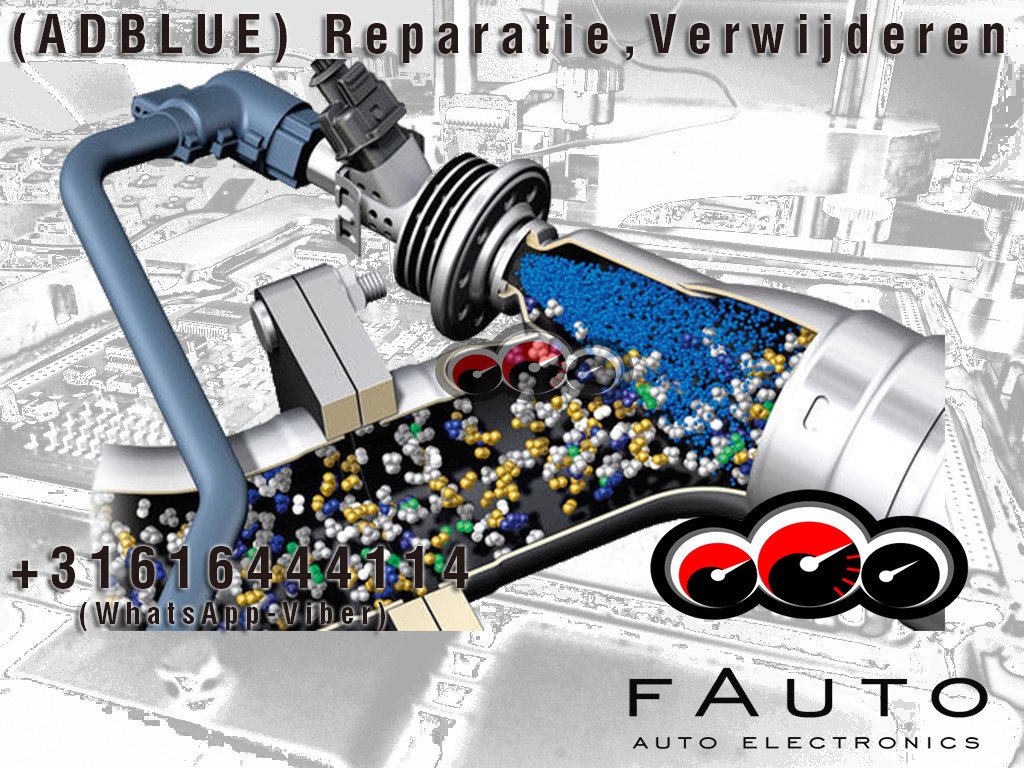 fauto19 tweet picture