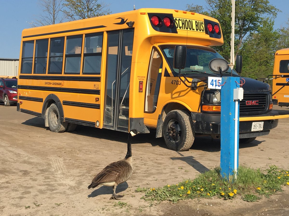 LandmarkBusLine's tweet photo. Is this the bus stop? #canadageese #schoolbusstop #hoponthebusgus https://t.co/ySMCdvk6ou