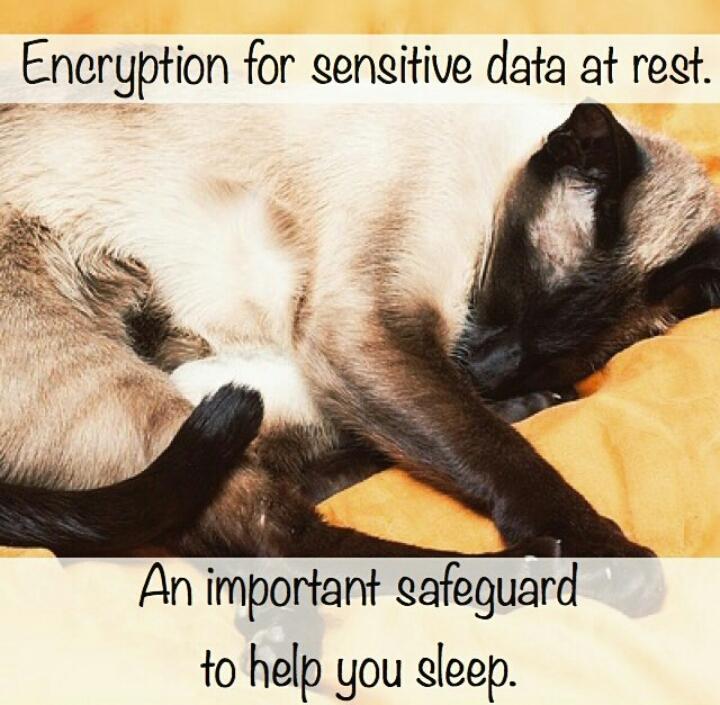 lasalasdeldeseo's tweet photo. #ESET #DESlock #EnjoySaferTechnology https://t.co/3M5lTOLeuc
