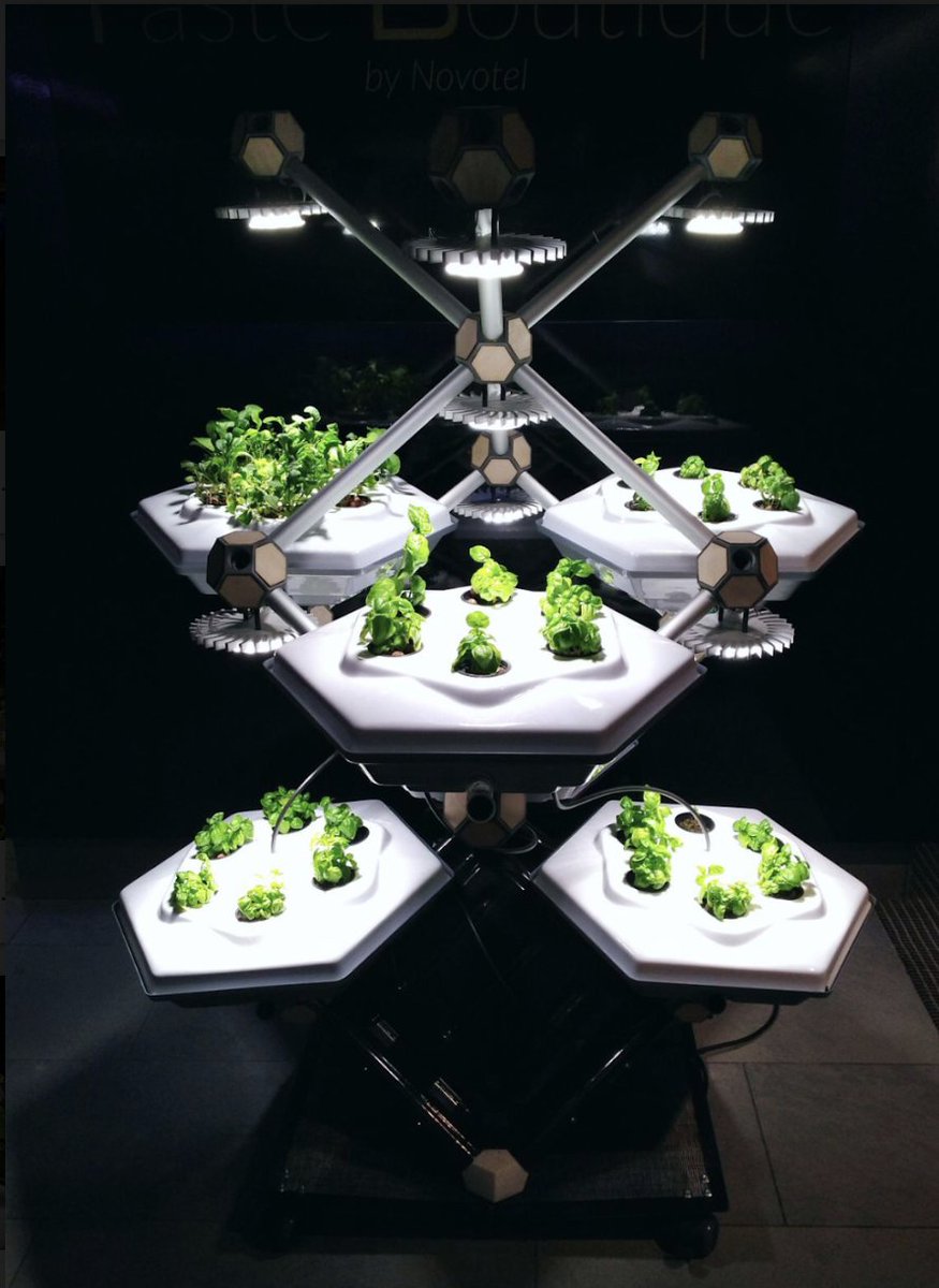 "Nature optimizes rather than maximizes, using shapes to determine functionality," writes <a href="/alegrampa/">Alessandro Grampa</a> from <a href="/Hexagro_UF/">HexagroUrbanFarming</a> in The Beam #6 bit.ly/2g3pYQI #food #future #cleantech