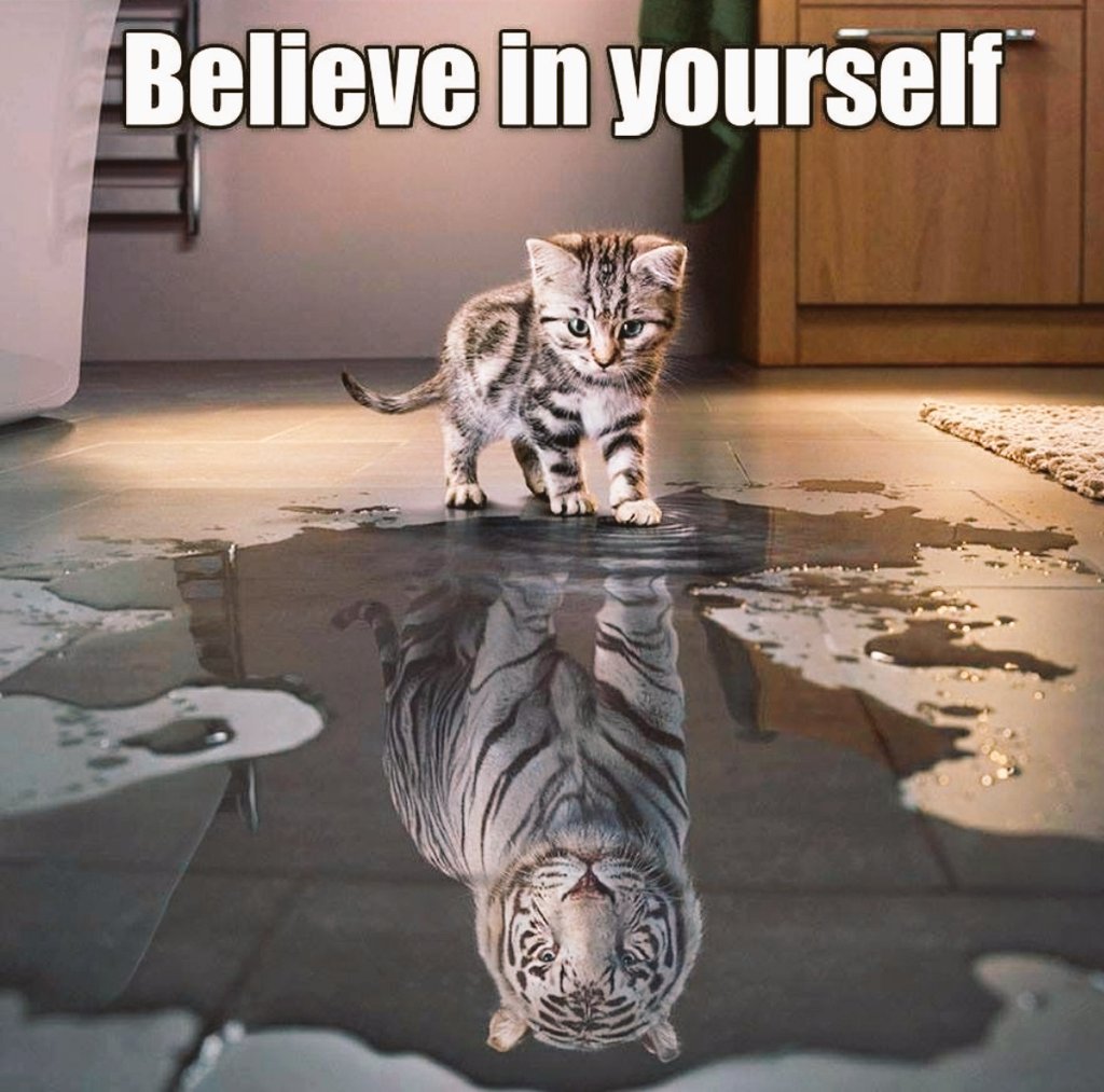 TheBossLeader's tweet image. 😎💪🏼