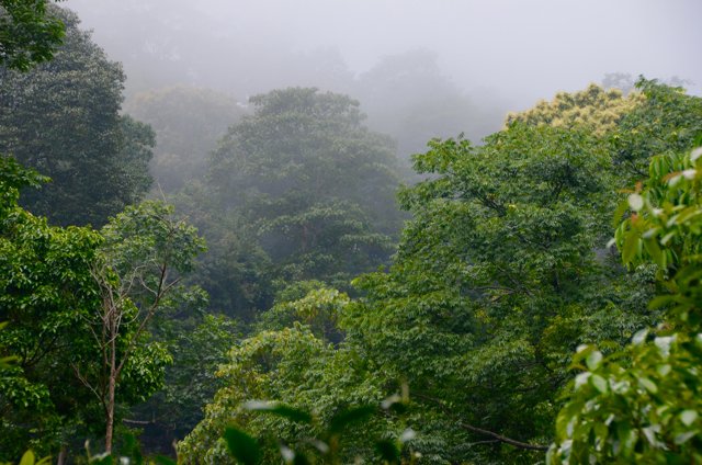 JalamTeas tweet media