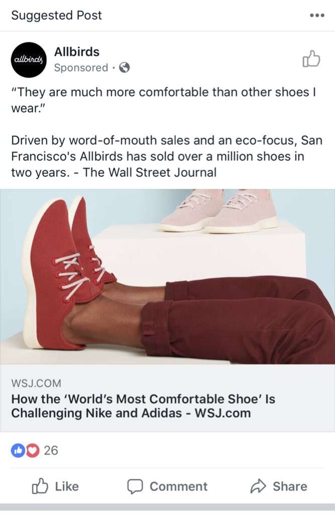 allbirds wsj