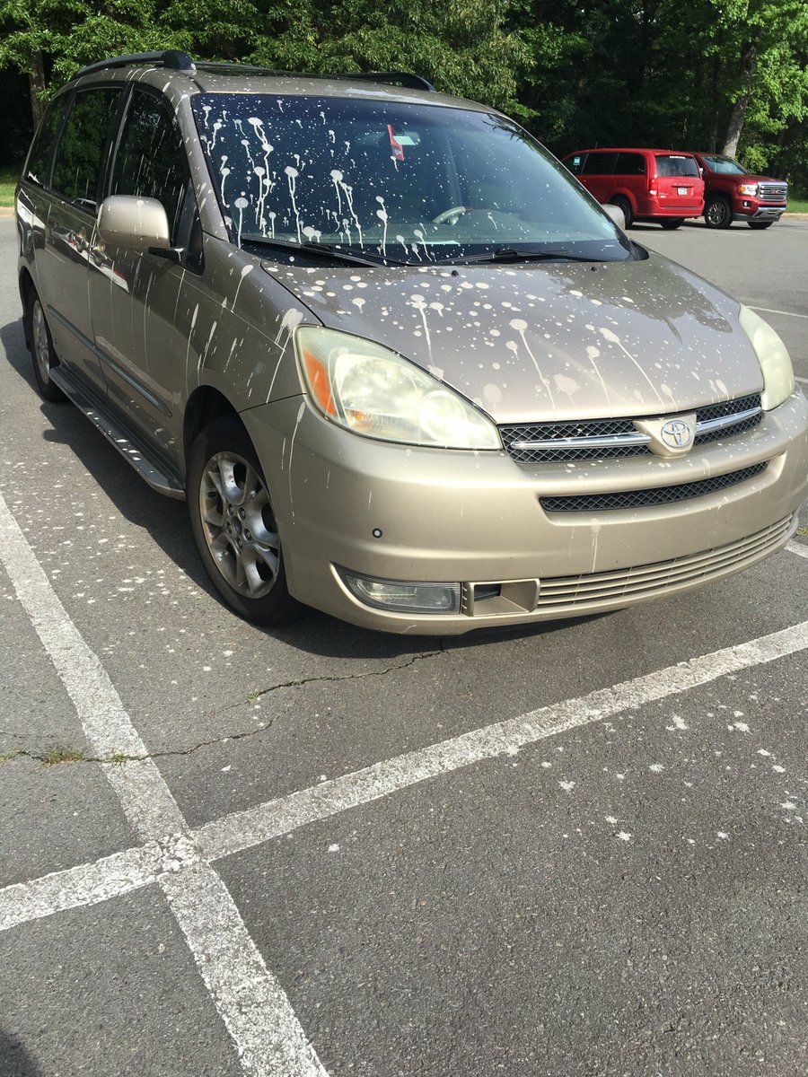 AgWriterArk's tweet image. #ornithologists: Is there an explanation for this 'bombing' run? Do flocks syncrhonize this behavior?  It was just this car. #birds #MysteriesOfLife