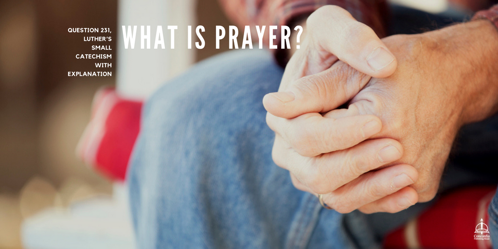 ConcordiaPub's tweet photo. Q: What is prayer?
A: Prayer is speaking to God in words and thoughts.
https://t.co/e1pLiYUstC #Catechism2017 https://t.co/gEk7V3MrqD