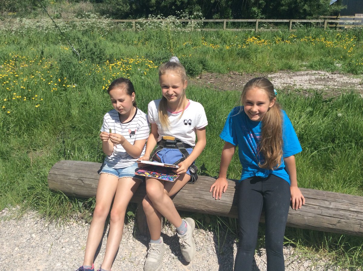 AppleySaintsCE's tweet photo. Y5/6 at Rock and River today, all having an amazing time! #LOTC #wlsp #GetActive #gooutdoors #funinthesun https://t.co/27hg1Rd2Hu