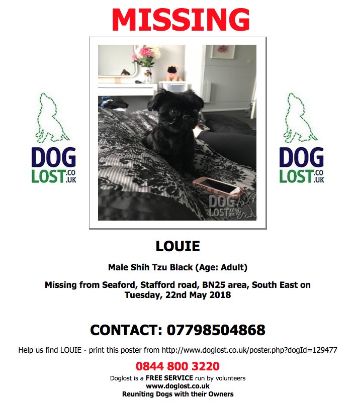 DogLostUK's tweet photo. https://t.co/jt1sXwNKjV
#LOST #DOG LOUIE
Male #ShihTzu
#Seaford #BN25
Tuesday, 22nd May 2018 #LostDog #ScanMe https://t.co/wbMSrHWtg0 @VetsGetScanning @SAMPAuk_ https://t.co/AuIRzhNAxI