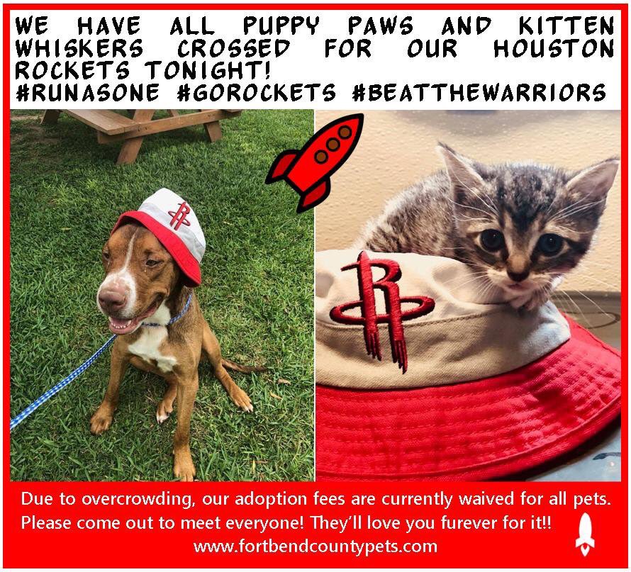 Who needs someone to watch the game with them Thursday?! Due to overcrowding, adoption fees waived at <a href="/FBCASTX/">Fort Bend Animal Services</a> Stop by and pick up a new best friend #AdoptDontShop #RunAsOne