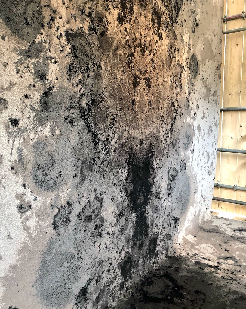 Rachel_Usher's tweet photo. Expert carpet manufacturer @BrintonsCarpets launch the new #craigendcollection at @clerkenwelldesignweek this year, designed by their long-term collaborators @TBeasties - the collection inspired by textures from the natural world. โค๏ธ #CDW2018 #clerkenwelldesignweek https://t.co/LrQg8bYNUR