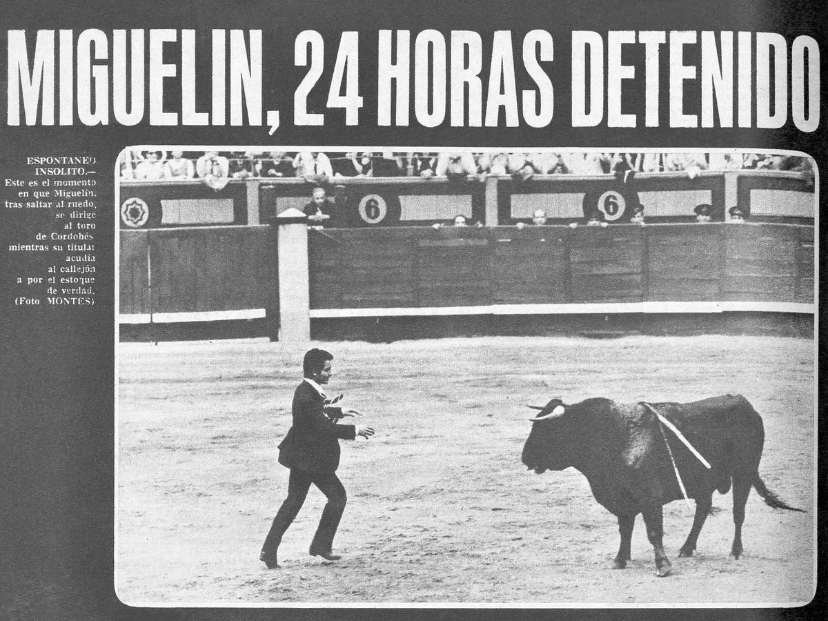 Maxi_Perez_'s tweet photo. En el revolucionario Mayo del 68, Miguel Mateo "Miguelín", de espontáneo en un toro de Manuel Benítez "El Cordobés". Fue multado con 40.000 ptas. y no le dejaron torear al día siguiente. #ElEsporton #Maxipedia https://t.co/cNioHHECOC