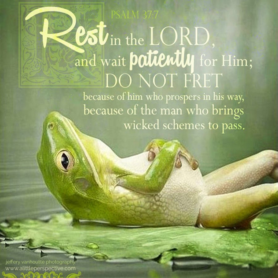 Jesuslovesme On Twitter: "#Europaafricaus Ps37:7 Rest In The Lord, And Wait  Patiently For Him, Do Not Fret Because Of Him Who Prospers In His Way,  Because Of The Man Who Brings Wicked