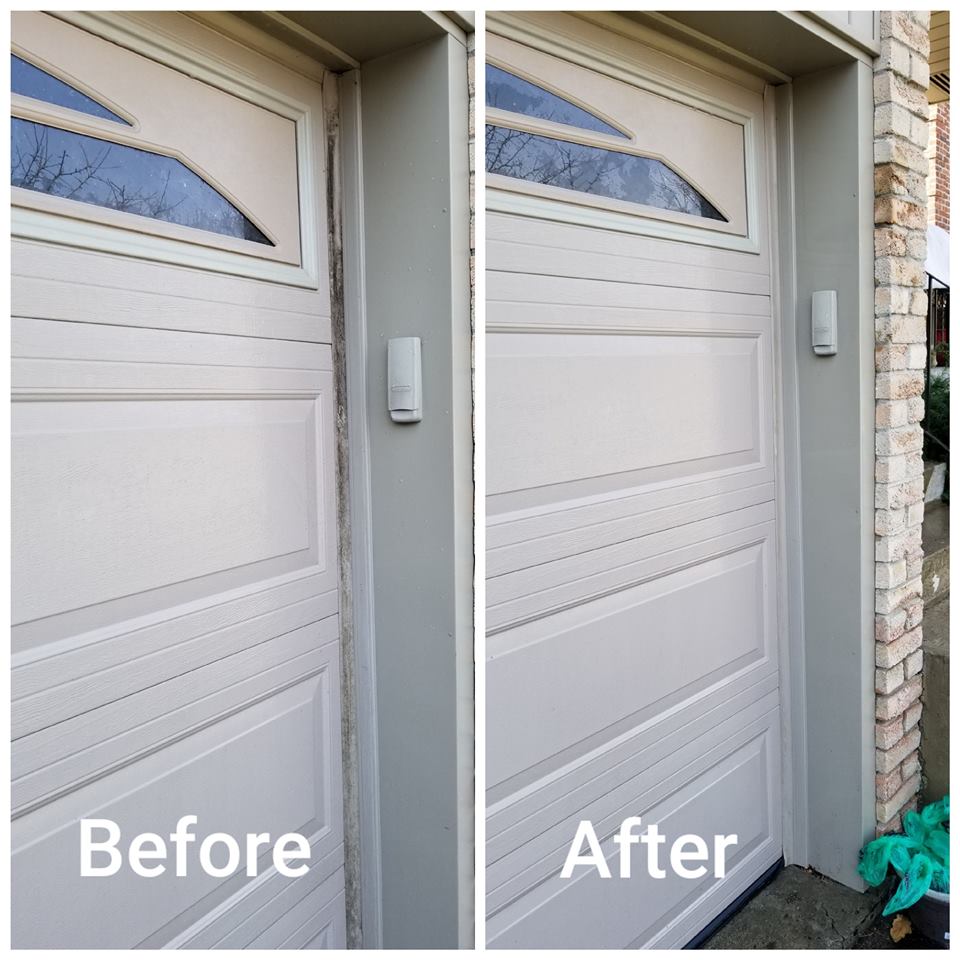 Elite Window Cleaning tweet media