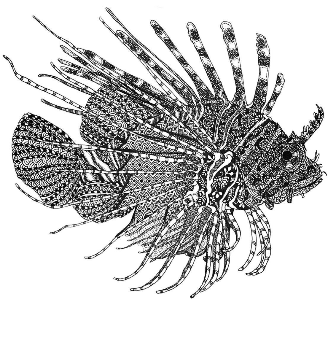 ボールペン画 魚 Dsbdzf4eij Anzanatitlan Org