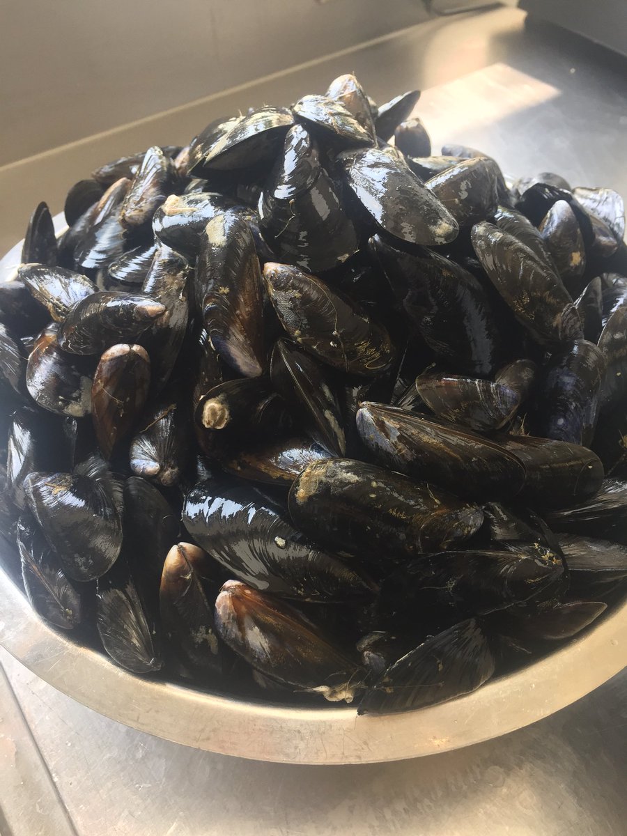 Nuttreeinn's tweet photo. Our aunt sally players are in for a treat tonight! Mussels for a snack!
Lucky locals!!!
#auntsally #pubgame #oxfordshire #teamnuttree #snacks #shellfish #halftime #keepthemgoing https://t.co/yGD3O3sQ4b