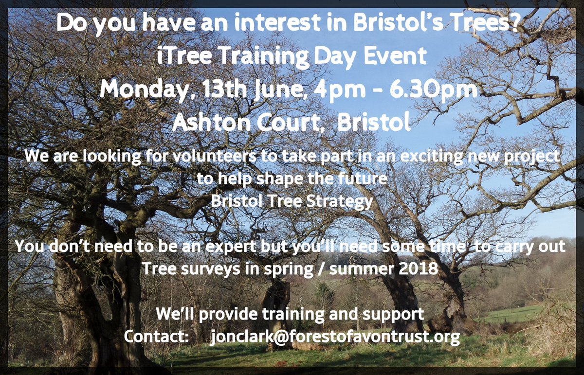 Find out about the iTree Project Training Day 4pm-6.30pm at Ashton Court, #Bristol Monday 13th June. Help shape the future Bristol Tree Strategy 🌳 Read more here: bit.ly/2vaiUwZ   A new project supported by <a href="/forestofavon/">Forest of Avon</a> @WoodlandTrust <a href="/BristolCouncil/">Bristol City Council</a> &amp; <a href="/BristolTreeFora/">Bristol Tree Forum 🍃💚🍃</a>